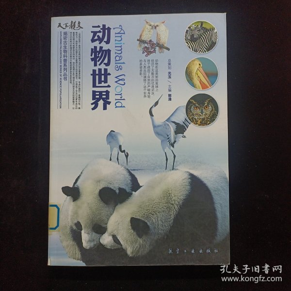 动物世界