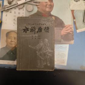 中国古典文学普及丛书：水浒后传