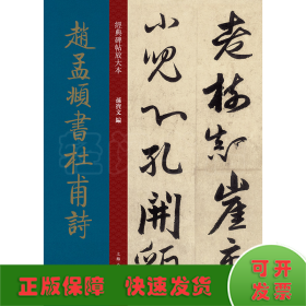 赵孟頫书杜甫诗 元代 行书 成人字帖 经典碑帖放大本