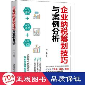 企业纳税筹划技巧与案例分析