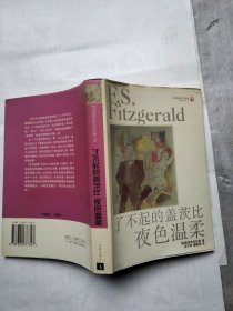 了不起的盖茨比 夜色温柔：译林世界文学名著 现当代系列