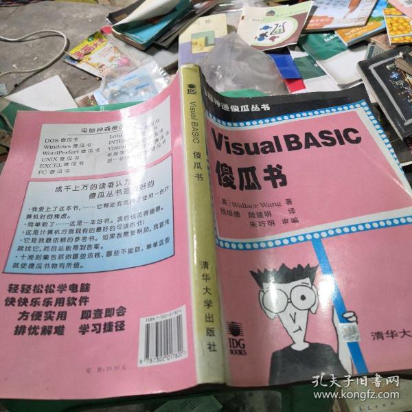 Visual BASIC傻瓜书