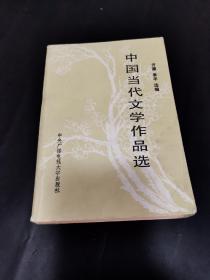 中国当代文学作品选