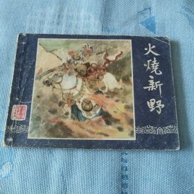 火烧新野