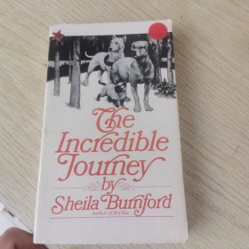 the incredible journey