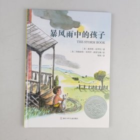 暴风雨中的孩子：美国凯迪克银奖作品