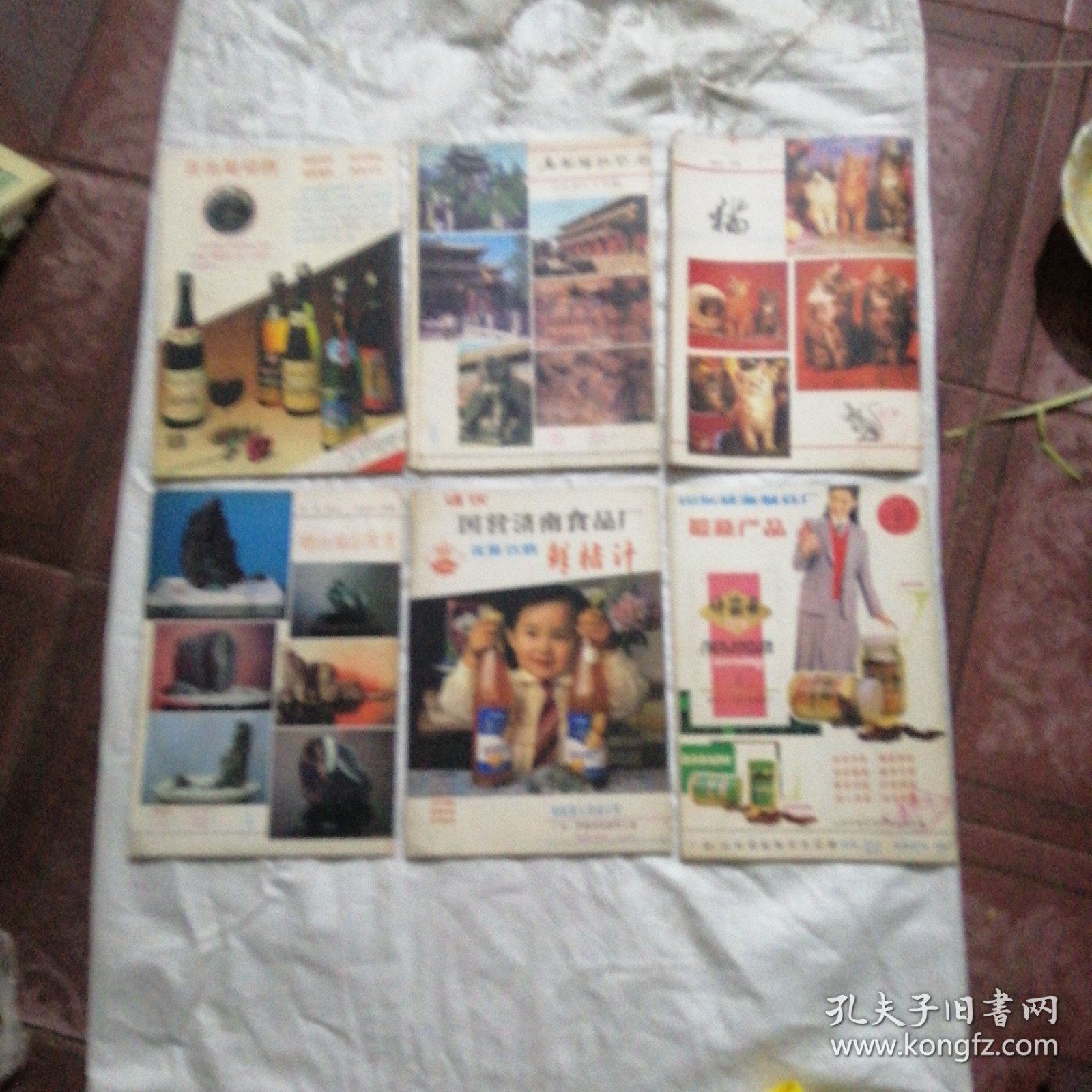 知识与生活 1984年1-6期双月刊