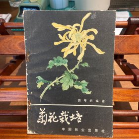 菊花栽培