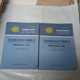 临床路径治疗药物释义 肿瘤疾病分册（上下册）（2015年版）