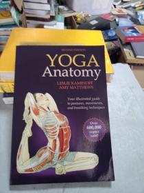 yogaanatomy