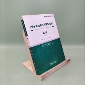 《青少年社会工作服务指南》解读/青少年事务社会工作丛书