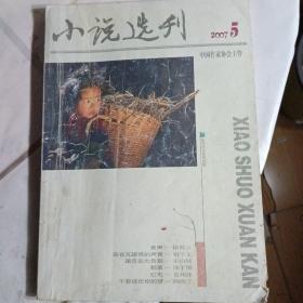 小说选刊