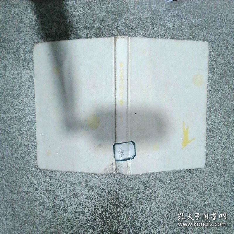 我的晃荡的青春