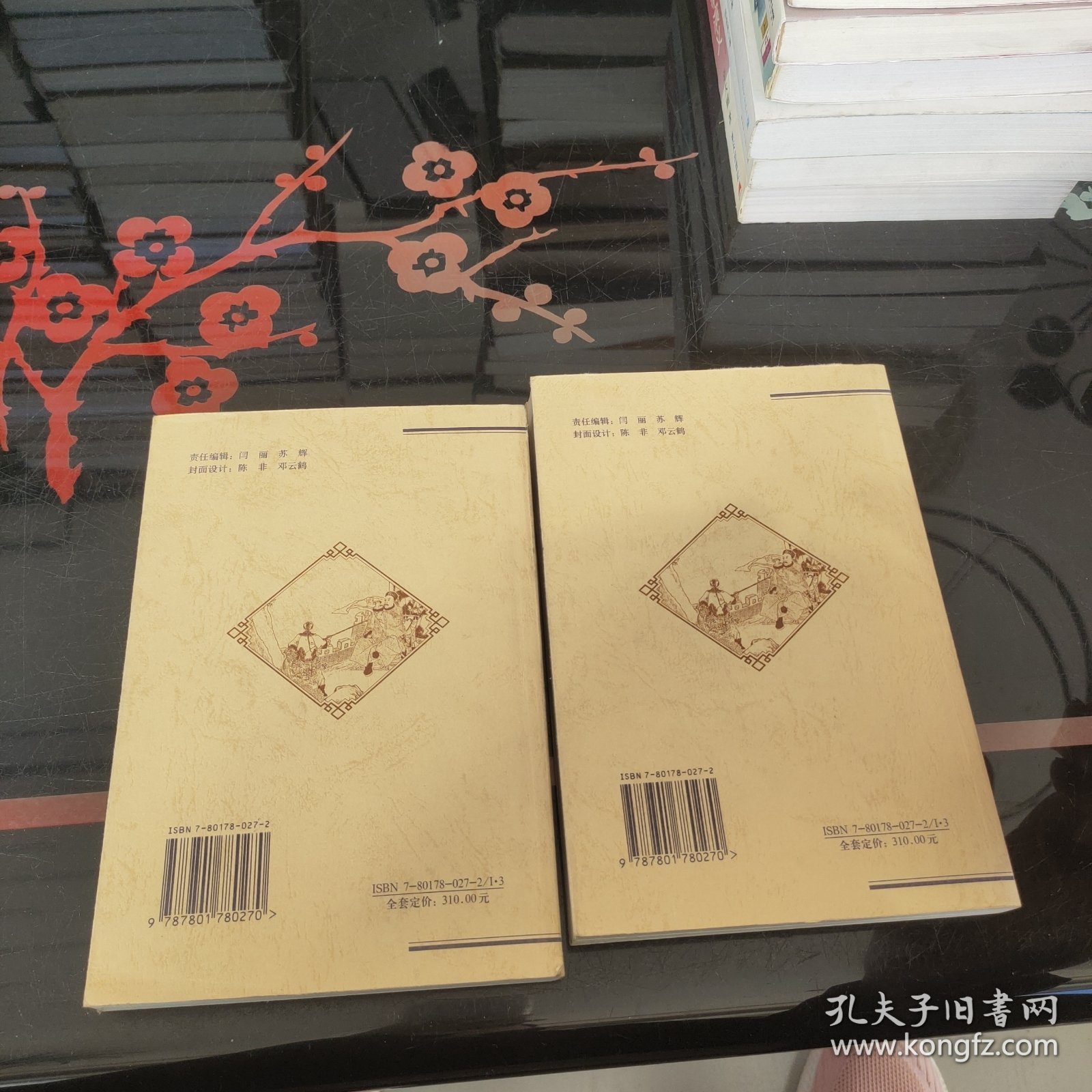 中国历代文化丛书：清史通俗演义 上下