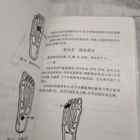 脚部按摩疗法