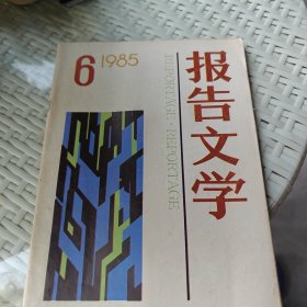 报告文学1985年第6期