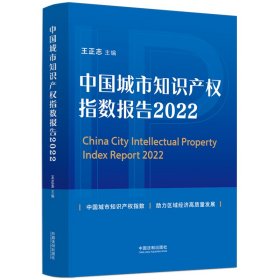 中国城市知识产权指数报告 2022