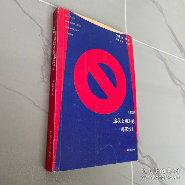 《追我女朋友的那家伙！》（韩寒「一个」工作室监制出品，「一个」App人气作者王若虚最新小说集。）