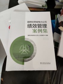 （全新未拆封）《国网甘肃省电力公司绩效管理案例集》