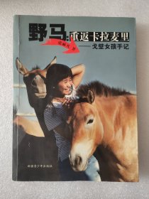 野马：重返卡拉麦里-戈壁女孩手记