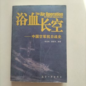 浴血长空：中国空军抗日战史