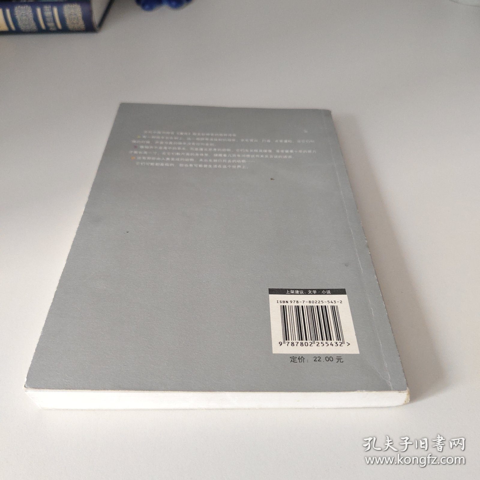想象中的动物