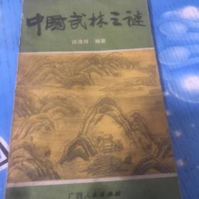 中国武术之谜 广西人民出版社