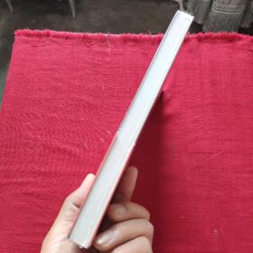 旋风九日（邓小平访美纪实）