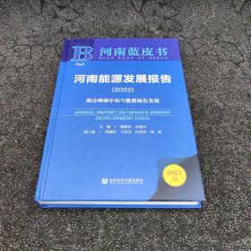 河南蓝皮书：河南能源发展报告（2022）