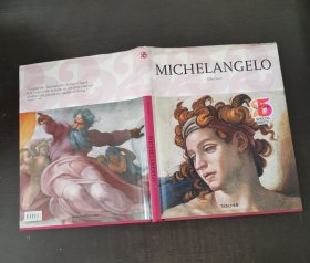 T25 MICHELANGELO 米开朗基罗