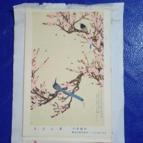 画鸟人物画:红杏山鹧,晨曲,鸜鵒,水牛