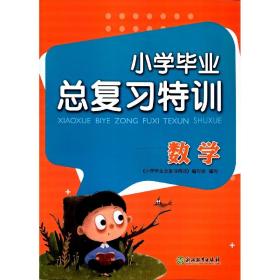 小学毕业总复习特训  数学