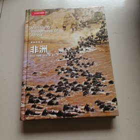美丽的地球：非洲