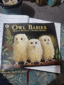 OWL BABIES