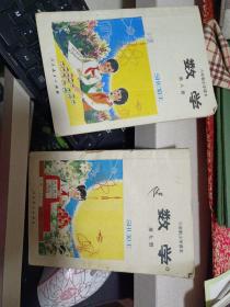 《数学》第八、九册合售【六年制小学课本.老课本。1992、1993年印。有字迹、勾画及卷角，品如图】