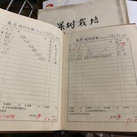 1955年 宁都中学 学生成绩册