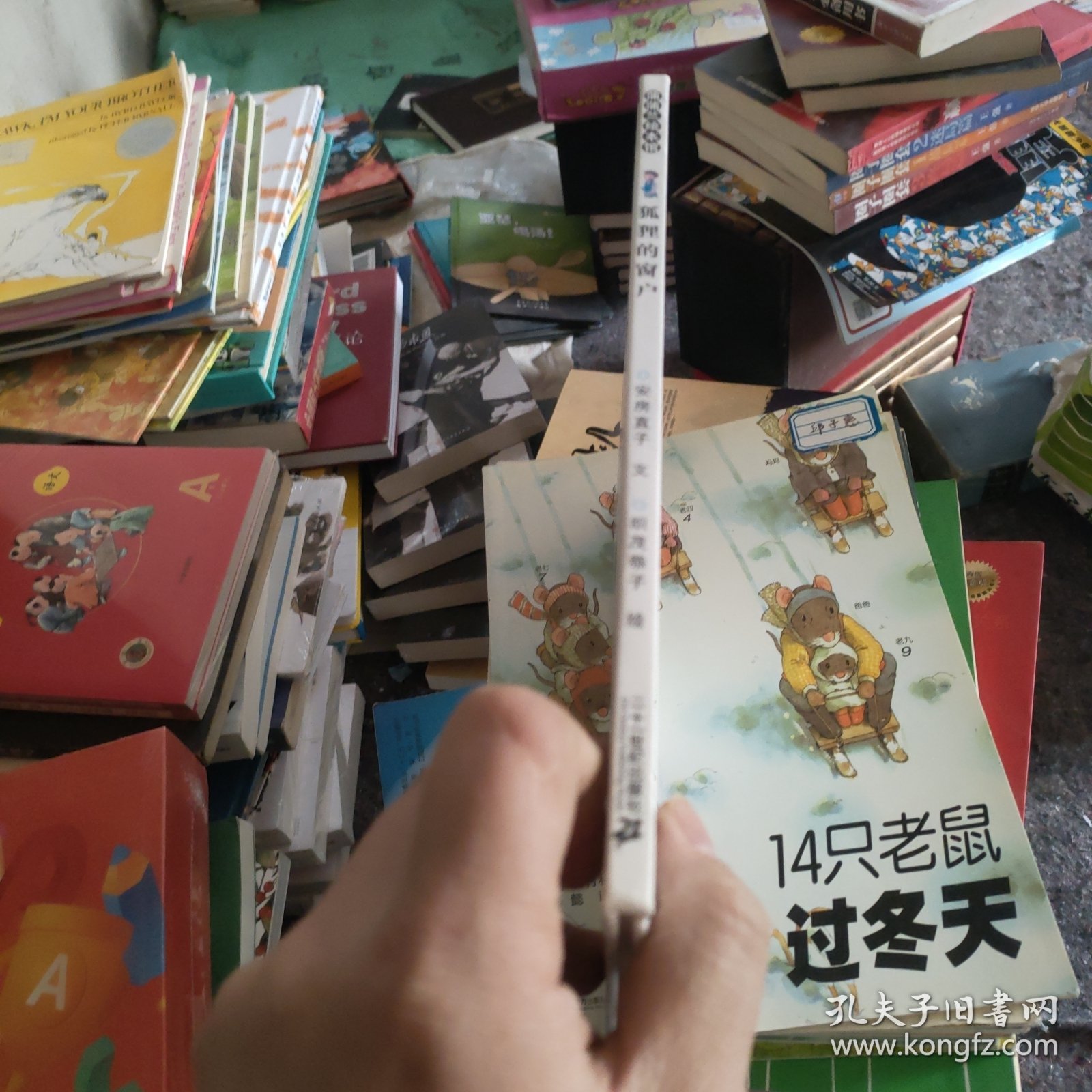 点击查看原图 狐狸的窗户