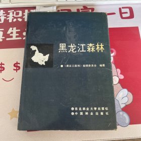 黑龙江森林