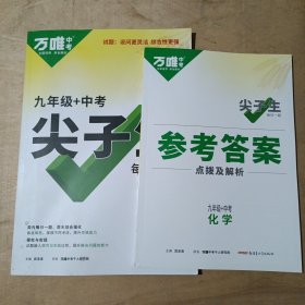 2023 万唯中考 九年级+中考 尖子生 每日一题 化学（第3版） 91-162