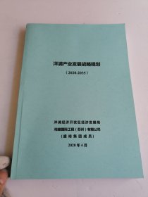 洋浦产业发展战略规划2020-2035