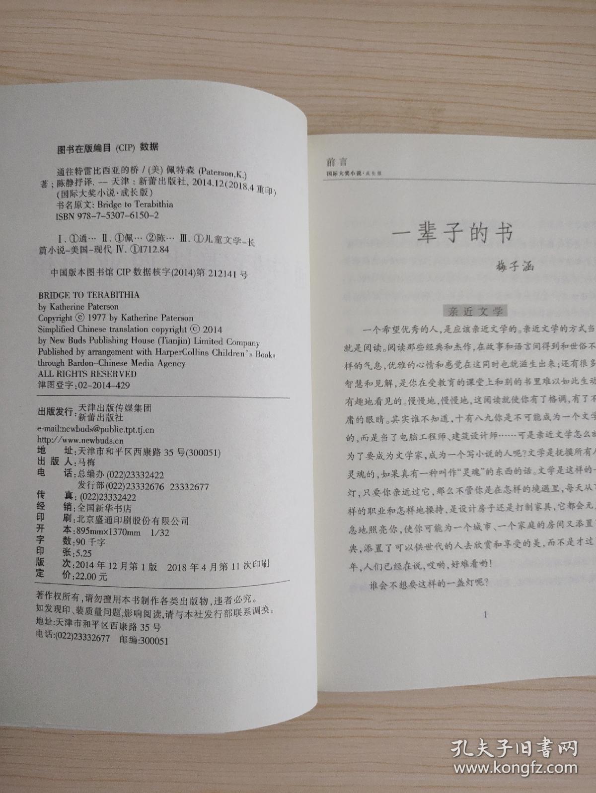 通往特雷比西亚的桥