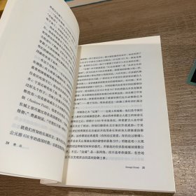 奇石：来自东西方的报道