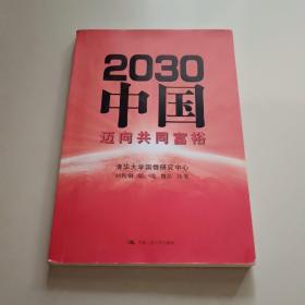 2030年的中国