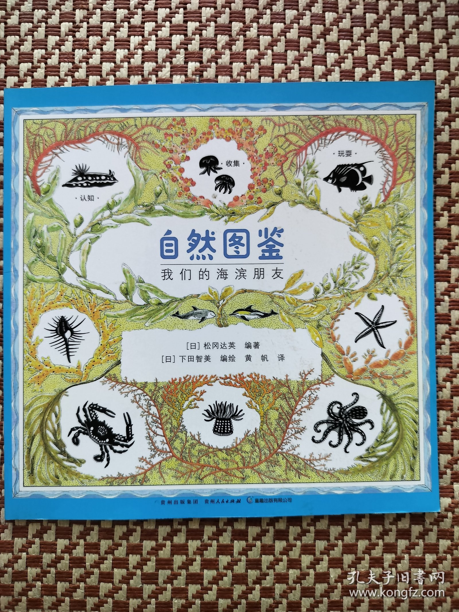 自然图鉴我们的海滨朋友