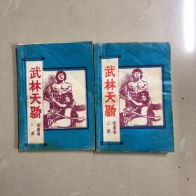 武林天骄（上下）