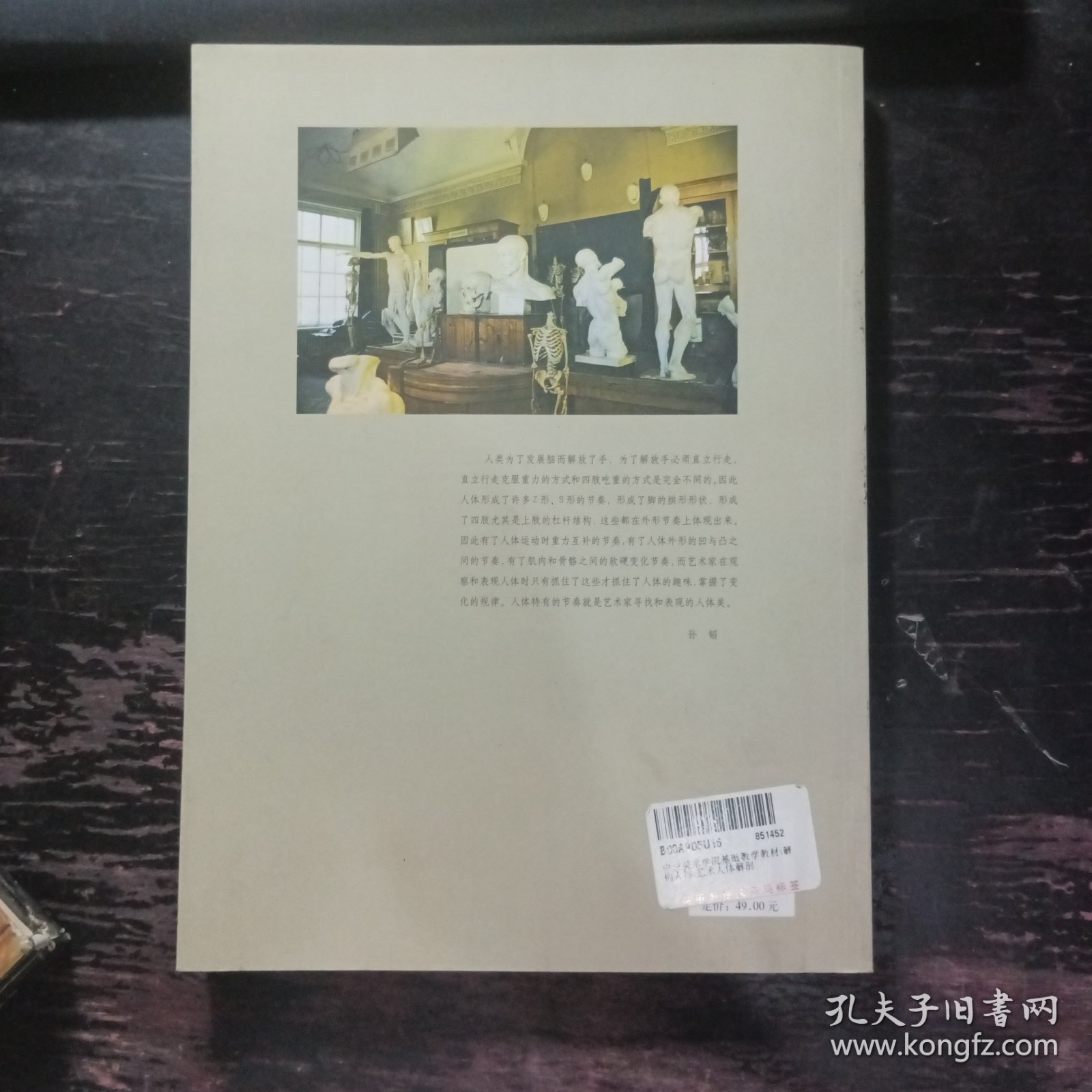 正版 解构人体-艺术人体解剖 孙韬叶南 人民美术出版社