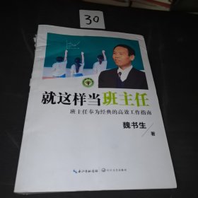 就这样当班主任（大教育书系）