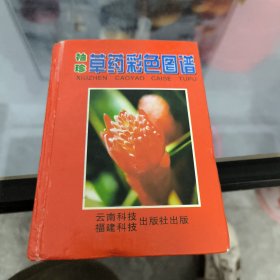 袖珍青草药彩色图谱