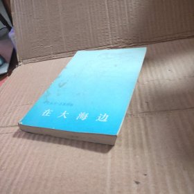 译文丛刊:在大海边