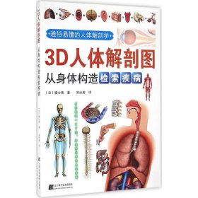 3D人体解剖图